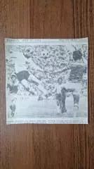 Германия победиль Чемпионата Мира 1974 Берти Фогтс