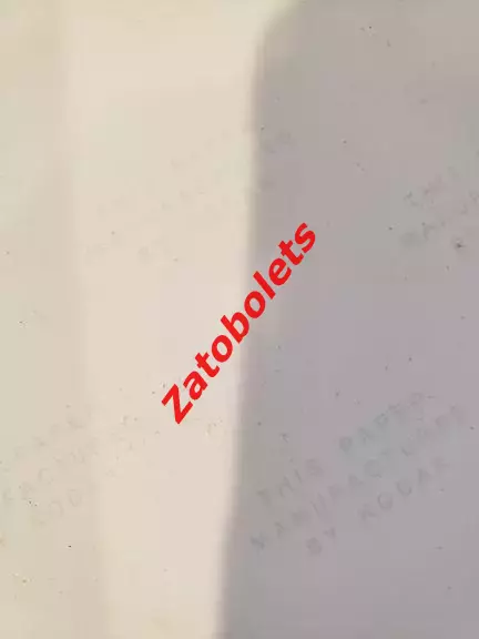 Цинциннати Кидс США - Спартак Москва 10.02.1979 1