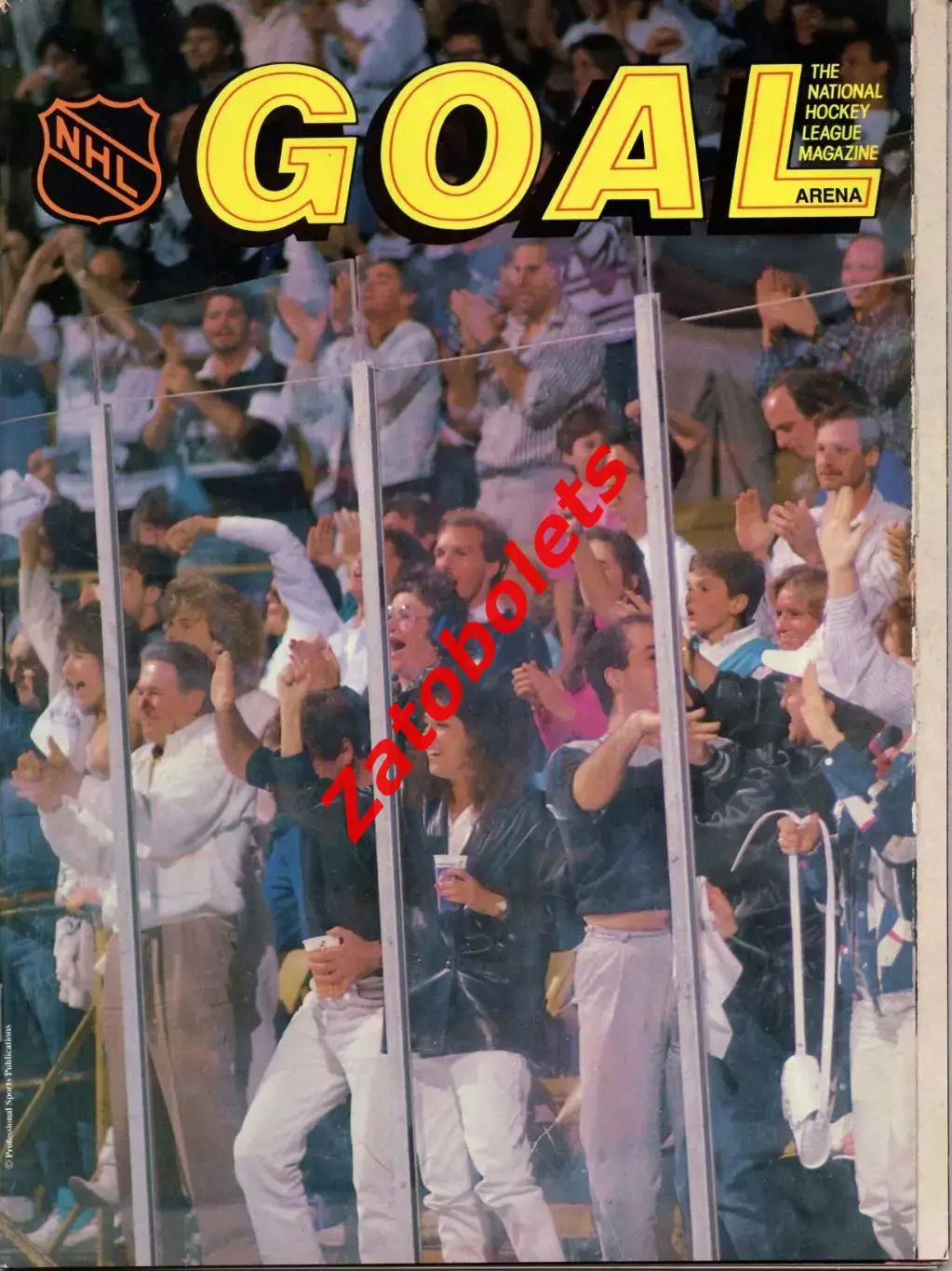 Хоккей Бостон Брюинз США - Химик Воскресенск СССР 1990