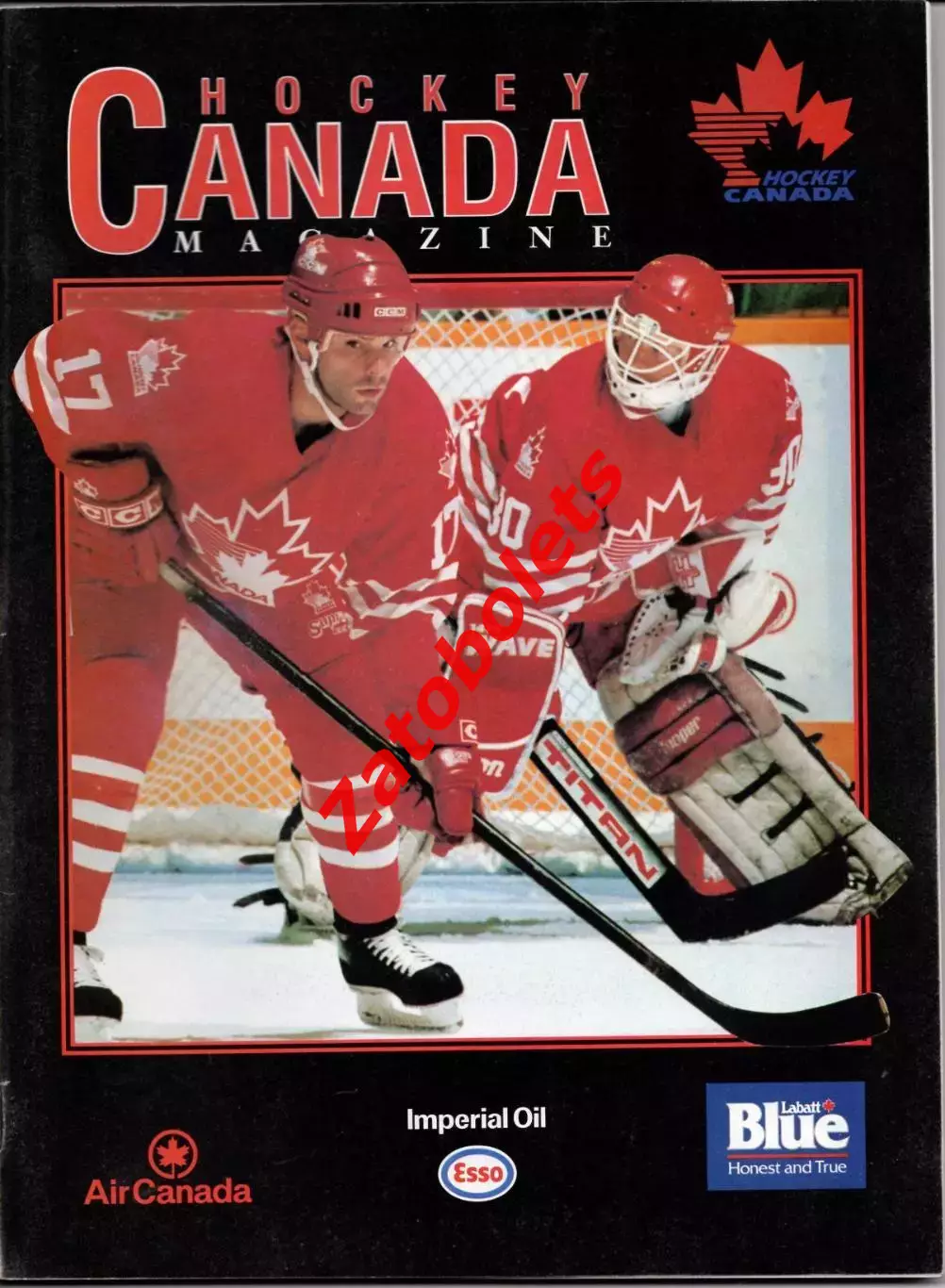 Канада - Россия 1993 - 1994