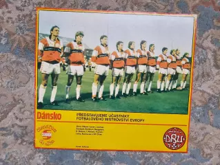 Сборная Дания