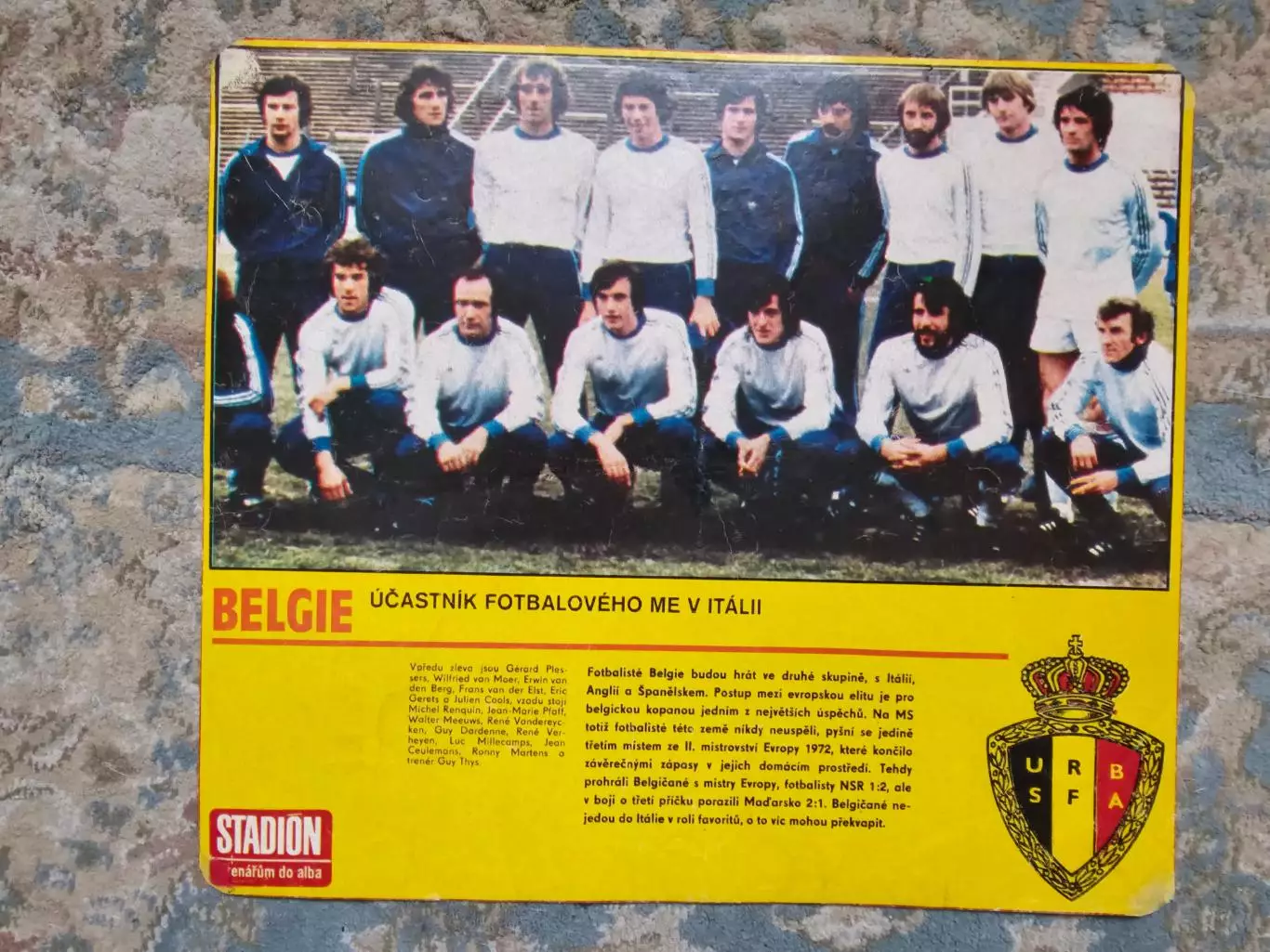 Сборная бельгия