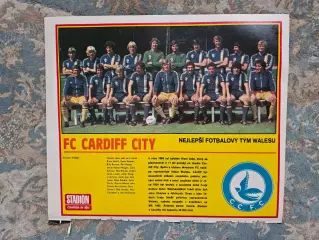 кардиф Сити