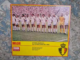 Сборная Бельгия 2