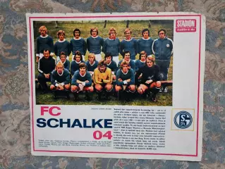 Шальке 04