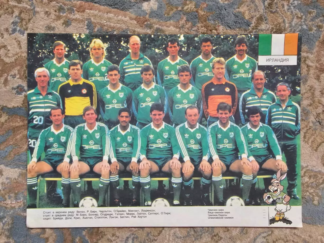 Сборная Ирландия