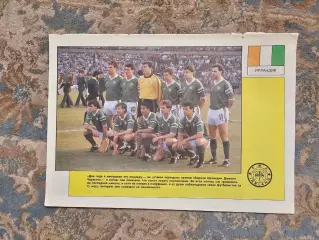 Сборная Ирландия