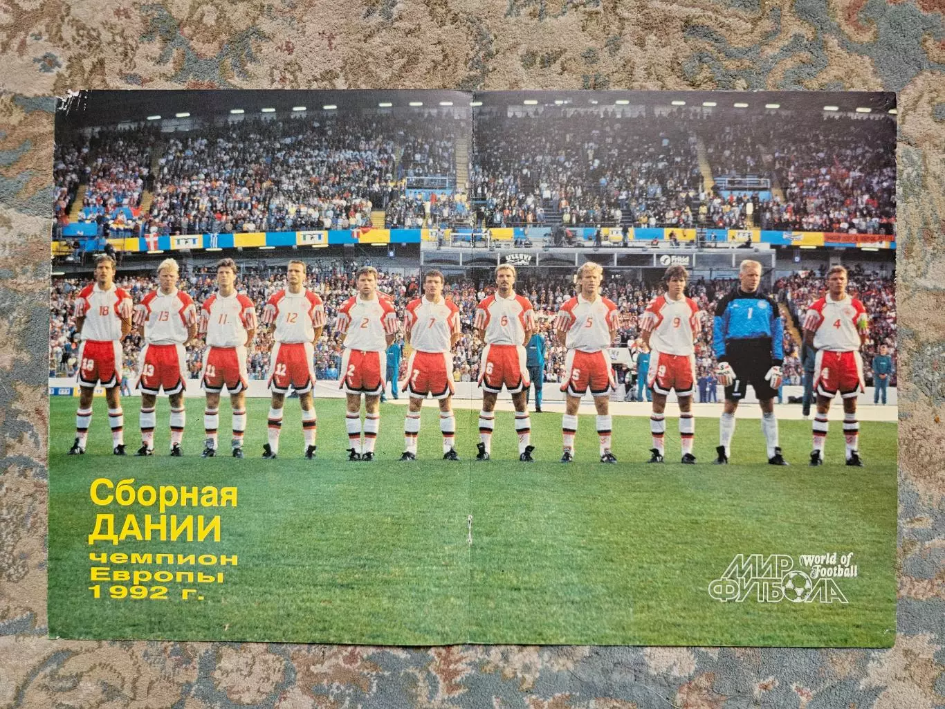 Сборная Дания