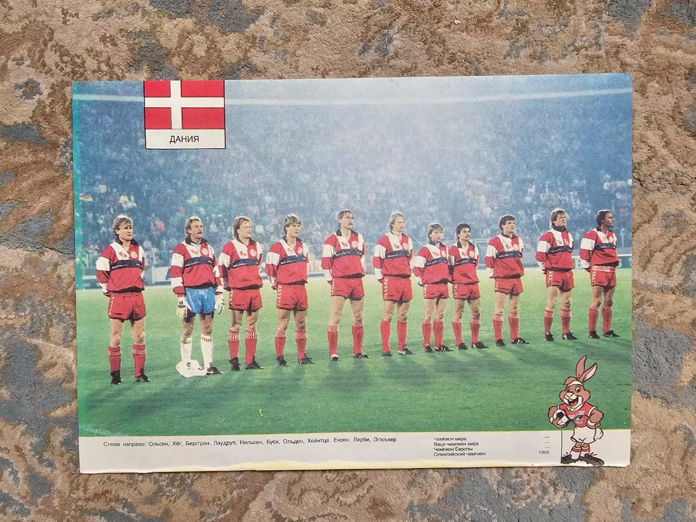 Сборная Дания