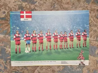 Сборная Дания