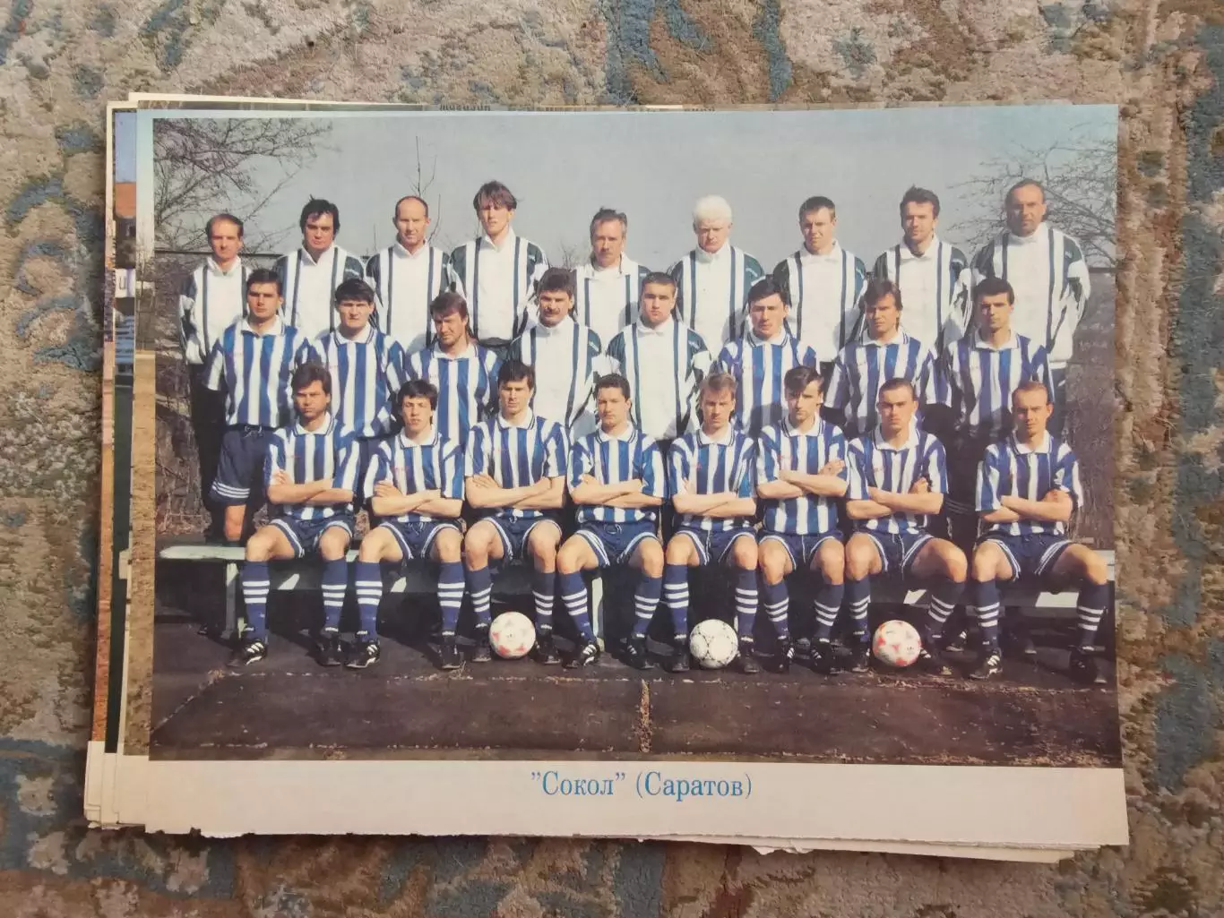 Сокол Саратов