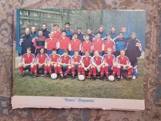 Факел Воронеж