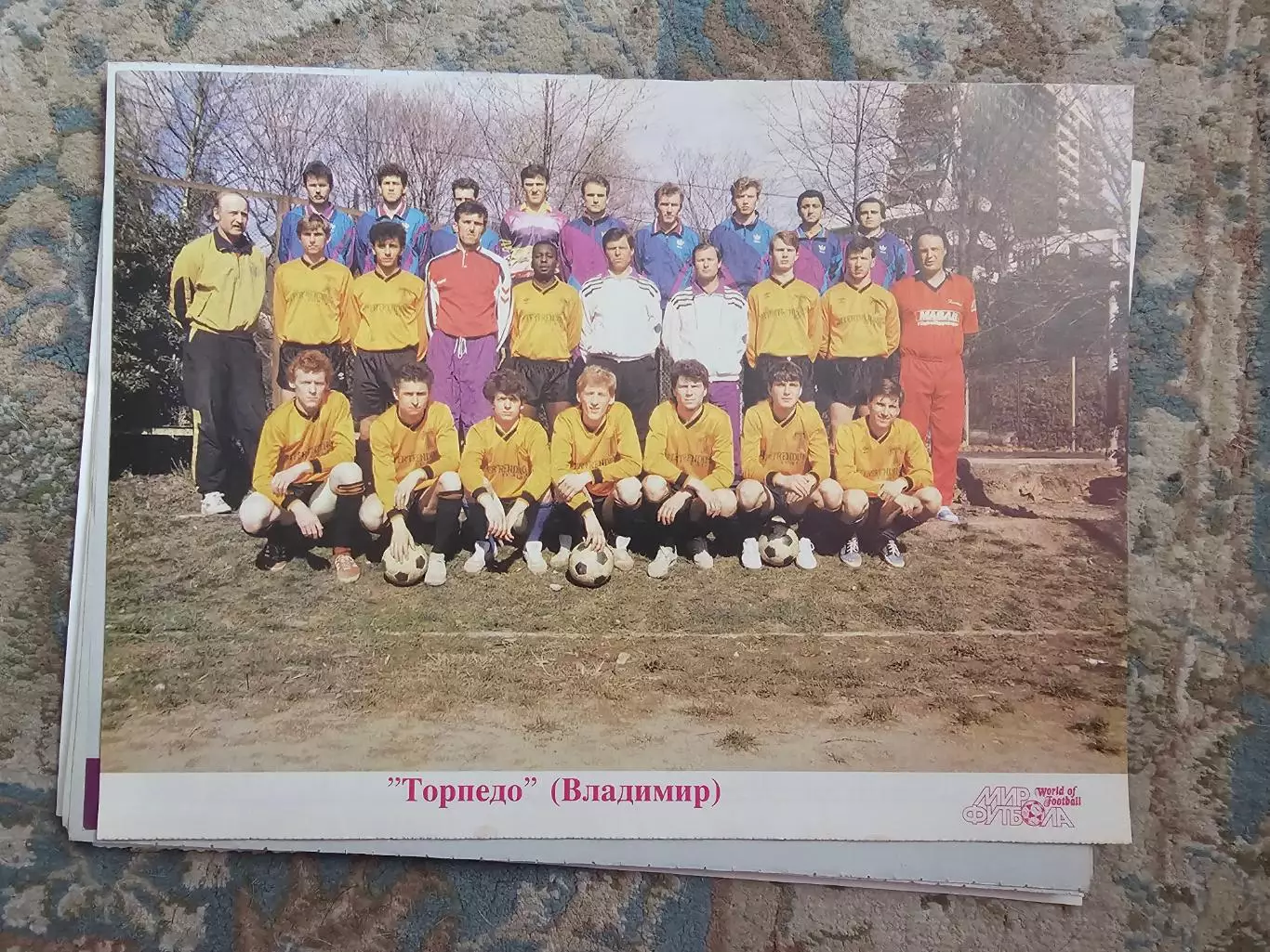 Торпедо Владимир