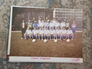 Сокол Саратов