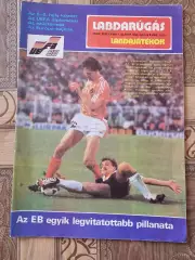 Labdarugas Венгрмя