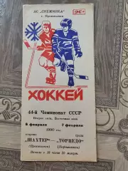 Шахтер Прокопьевск - Торпедо Нефтекамск