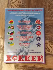 Гомель 2001г