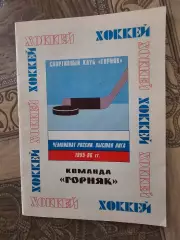 Горняк Райчихинск 1995-1996г