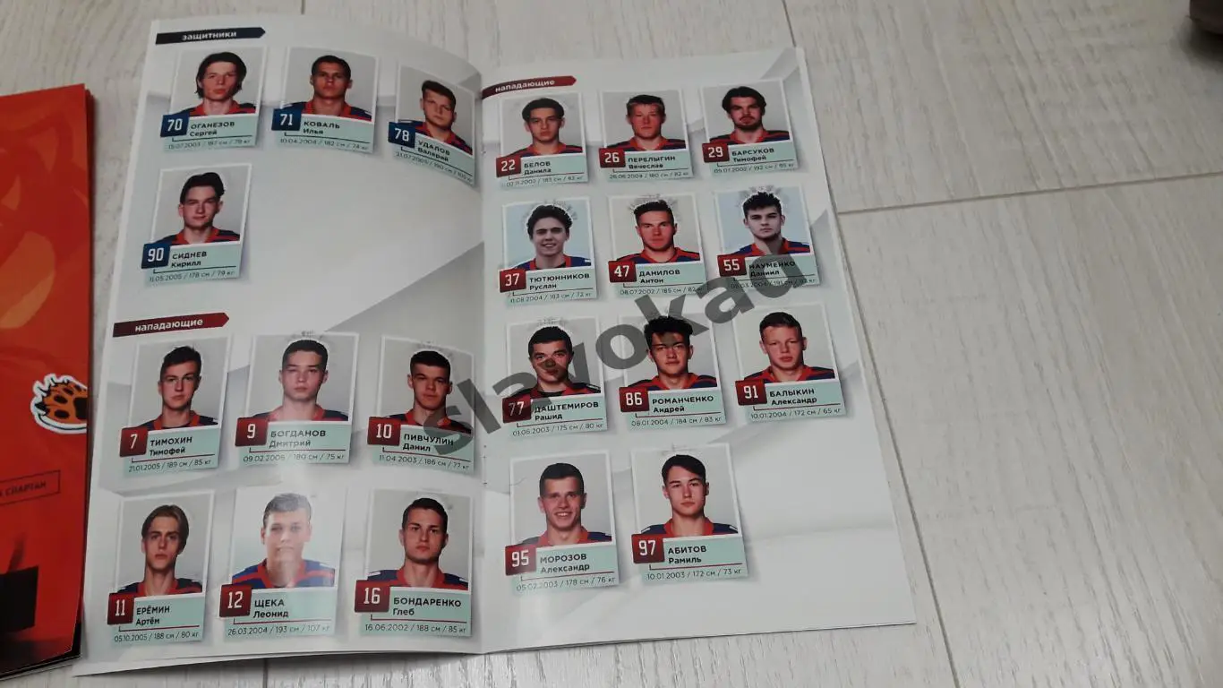 МХК Сахалинские акулы Южно-Сахалинск - МХК Спартак Москва 03.11.2022 2