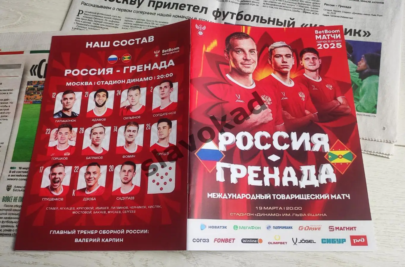 Россия - Гренада 19.03.2025 - международный товарищеский матч 4