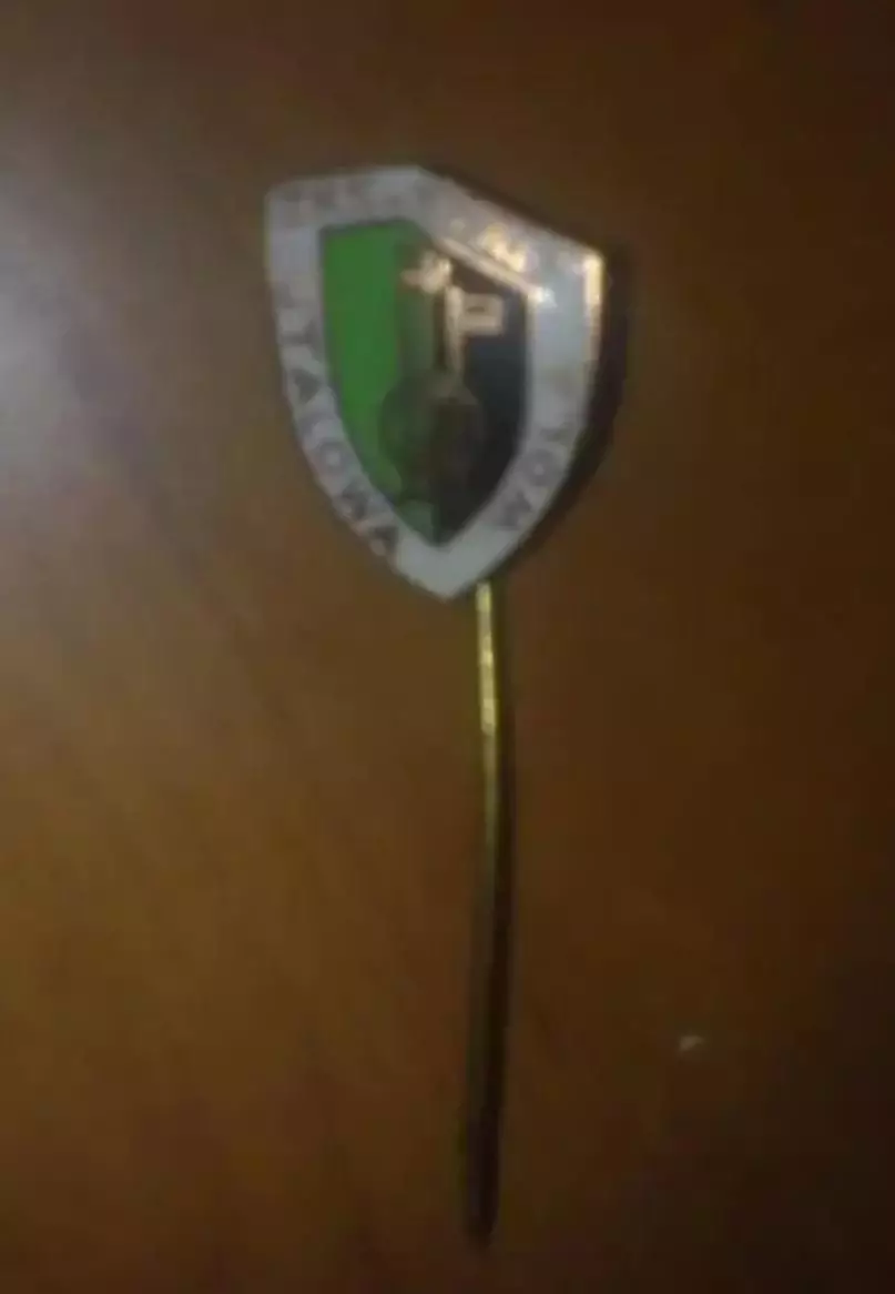 Знак футбол. Сталь Польша