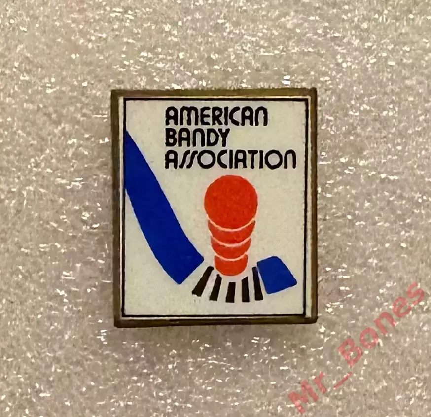 США, Американская ассоциация бенди, хоккей с мячом