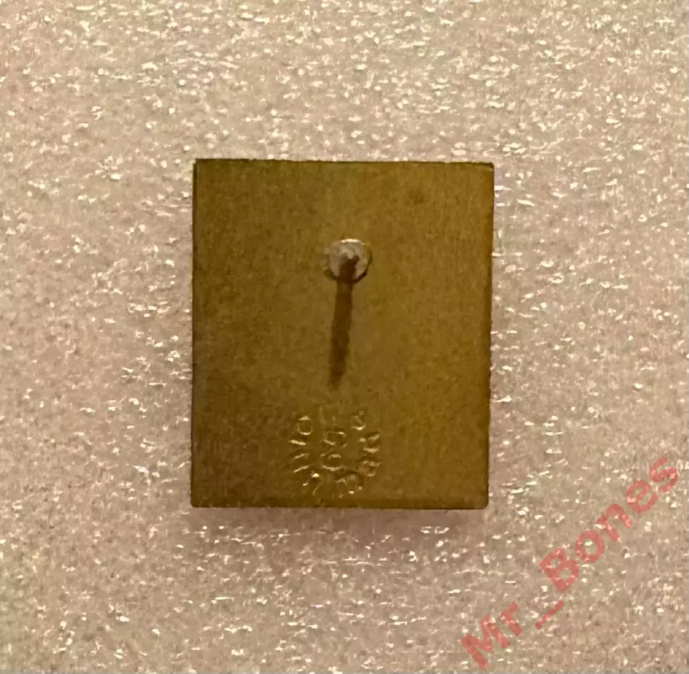 США, Американская ассоциация бенди, хоккей с мячом 1