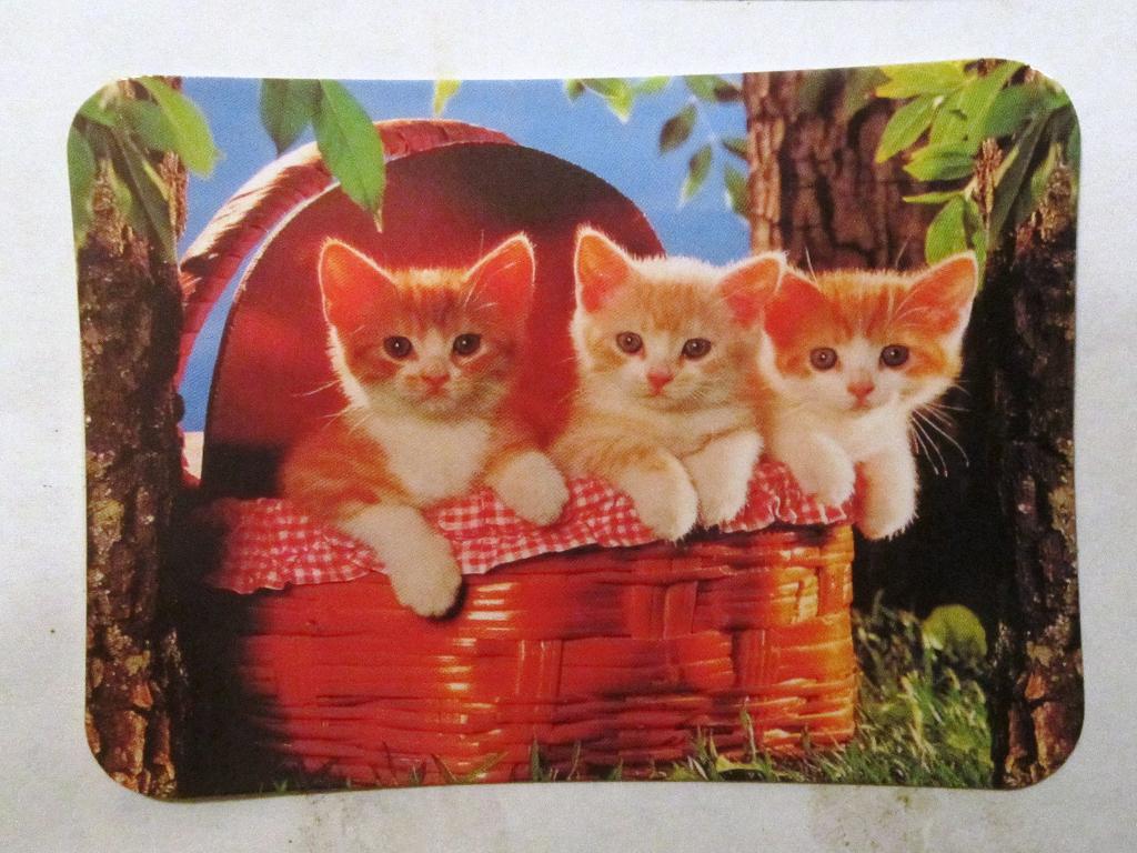 Календарик«Кошки» 2001