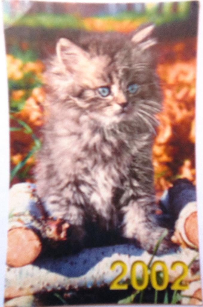 Календарик«Кошки» 2002 мини