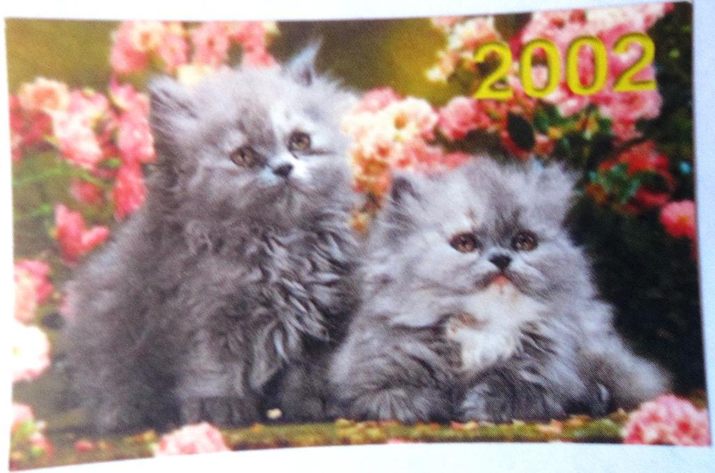 Календарик«Кошки» 2002 мини