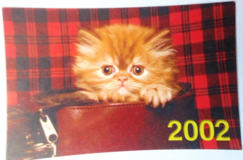 Календарик«Кошки» 2002мини