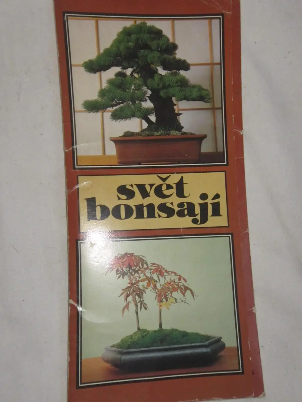 набор открыток Мир бонсаи