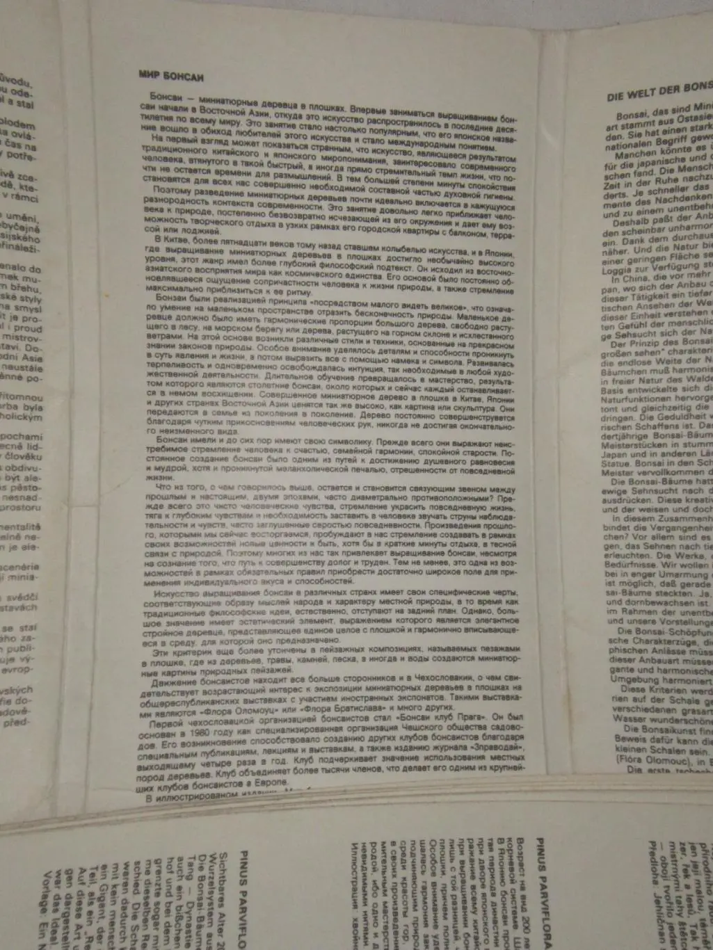 набор открыток Мир бонсаи 2