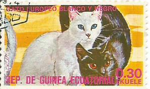 Марки: Белая и черная европейские кошки. Экваториальная Гвинея