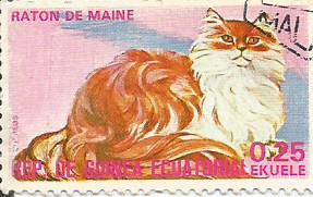 Марки: Домашняя кошка. Экваториальная Гвинея