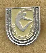 Значок. Спортивная гимнастика