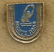 Значок. Водное поло