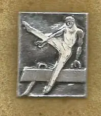 Значок. Спортивная гимнастика. Упражнения на коне