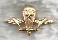Петличная эмблема Воздушно-десантных войск