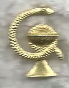 Петличная эмблема Медицинской службы (золотая направо)