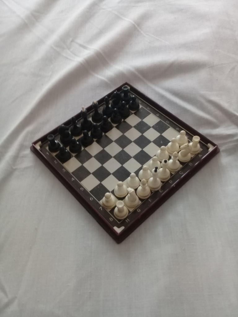 Магнитные шахматы