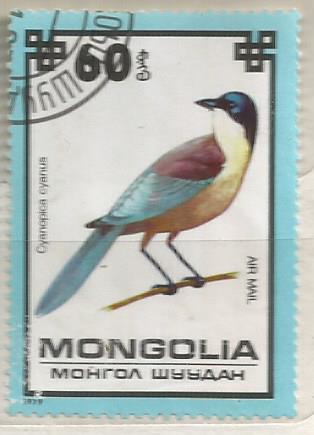 Марки: Голубая сорока. Монголия