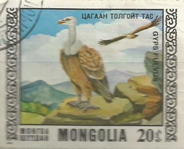 Марки: Белоголовый орлан. Монголия
