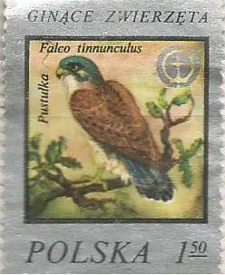 Марки: Пустельга. Польша