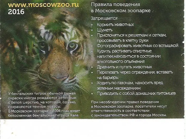Билет. Московский Зоопарк