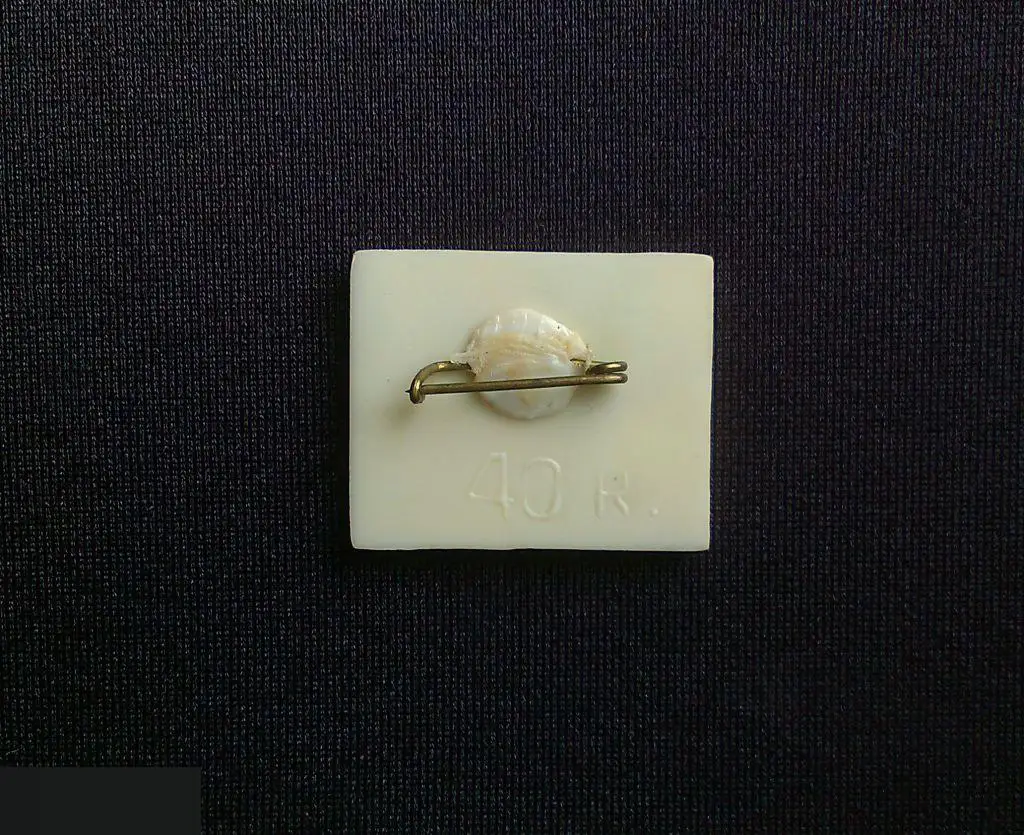 В ЗНАЧОК НЕИЗВЕСТНЫЙ НАУКЕ ЗНАЧОК С ЛИТЕРОЙКСИТАЛЛ ЗЕРКАЛЬНЫЙ СТЕКЛО ТРЕСНУТЫЙ ! 3