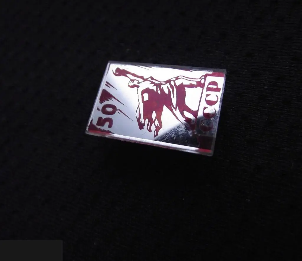 М ЗНАЧОК СССР 50 ЛЕТ ЮБИЛЕЙ РАБОЧИЙ И КОЛХОЗНИЦА ПАМЯТНИК ПРЯМОУГОЛЬНИК СТЕКЛО 13х20mm 3