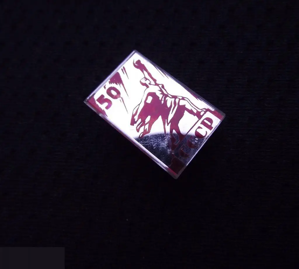 М ЗНАЧОК СССР 50 ЛЕТ ЮБИЛЕЙ РАБОЧИЙ И КОЛХОЗНИЦА ПАМЯТНИК ПРЯМОУГОЛЬНИК СТЕКЛО 13х20mm 4