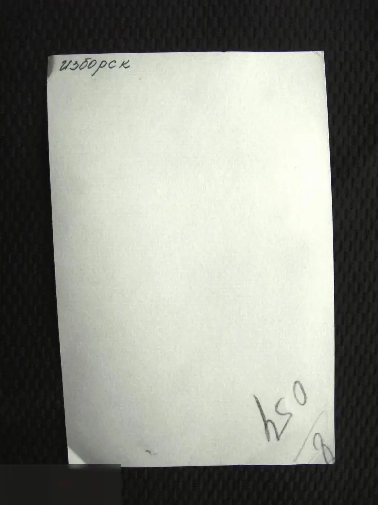 М ФОТОГРАФИЯ ФОТО ЖЕНЩИНА ДЕВУШКА У ВОРОТ ГОРОД ИЗБОРСК ХРАМ ? ЦЕРКОВЬ ЗИМА 90х140mm 1