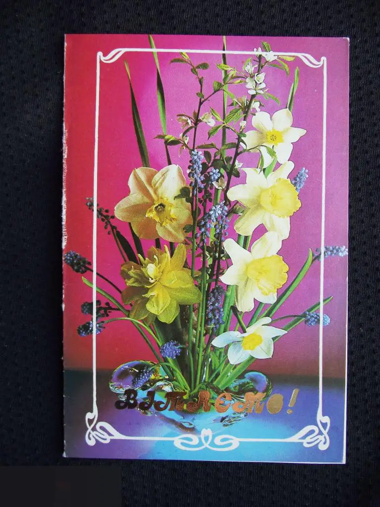 ОТКРЫТКА ПОЗДРАВЛЯЕМ ПОЗДРАВЛЕНИЕ С 9 МАЯ ДНЕМ ПОБЕДЫ ВОВ ВЕТЕРАН 1985 Винница Винничанка Костенко